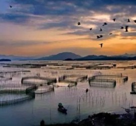 苏州伴游中国网景点丰富(旅游网介绍)