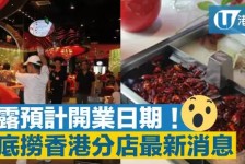 苏州香港酒店雇用高薪伴游(高端伴游雇用)