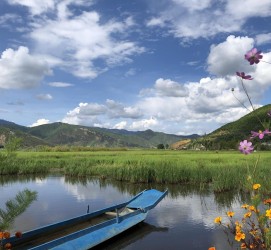苏州旅游游记(旅游游记怎么写)