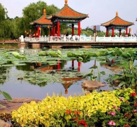 苏州长春旅游攻略(长春旅游攻略必去景点地图)