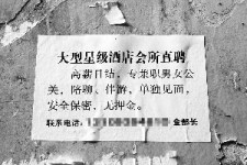 苏州珠海伴游雇用网(珠海游览社雇用信息)