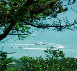 苏州中国伴游网与你分享旅游的点滴(中国伴游网与你分享旅游的点滴是什么)