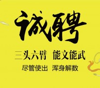 苏州私人伴游招聘 一线二线城市招聘大圈中圈小圈女孩商务模特佳丽女模名媛招聘高薪一单一结
