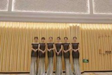 苏州杭州模特礼节兼职群(杭州兼职商务模特经纪人微信)