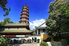 苏州广州自由行(广州 自由行)