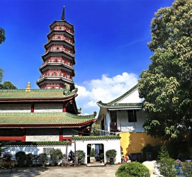 苏州广州自由行(广州 自由行)