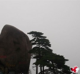 苏州上海伴游私家陪游雇用女模(上海伴游私家陪游雇用女模特)