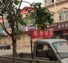 苏州上海伴游 用伴游造句大全(5