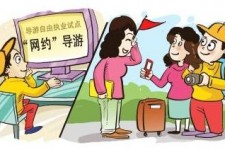 苏州伴游是什么
