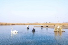 苏州南昌附近伴游小妹兼职(1534939978姐的微信德惠市)