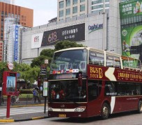 苏州上海私人伴游 上海过年怎么玩？这些“微游”线路了解下→