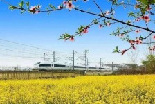 苏州高铁游(高铁游戏下载手机版)
