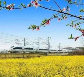 苏州高铁游(高铁游戏下载手机版)
