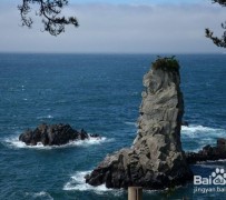 苏州旅游全攻略(上海旅游全攻略)
