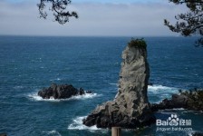 苏州旅游全攻略(上海旅游全攻略)