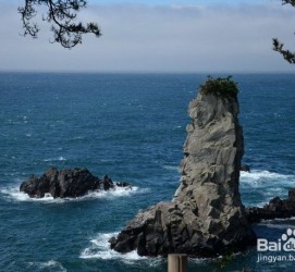 苏州旅游全攻略(上海旅游全攻略)