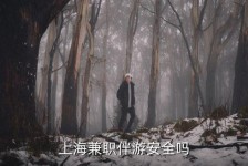 苏州上海私人伴游 上海伴游，上海兼职伴游安全吗