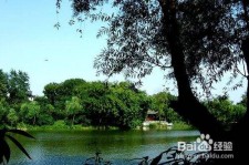 苏州西湖旅游攻略(上海到杭州西湖旅游攻略)