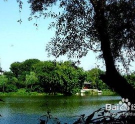苏州西湖旅游攻略(上海到杭州西湖旅游攻略)