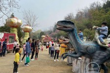 苏州中国伴游带你打卡网红南山竹海(南山竹海网上预约)