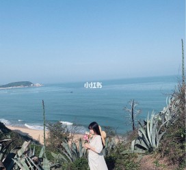 苏州厦门周边游(厦门及周边旅游攻略)