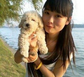 苏州中国伴游网靠谱吗(伴游是真的吗?)