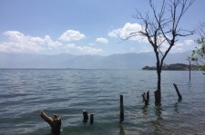 苏州洱海旅游攻略(洱海旅游攻略自由行)