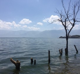 苏州洱海旅游攻略(洱海旅游攻略自由行)