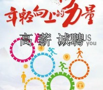 苏州商务伴游招聘 全国伴游招聘高档会所直招/公关模特佳丽名媛一单一结(今日招聘)