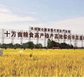 苏州关于成都商务伴游外围雇用的信息