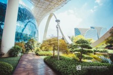 苏州杭州外围伴游雇用(杭州外围雇用经纪人)