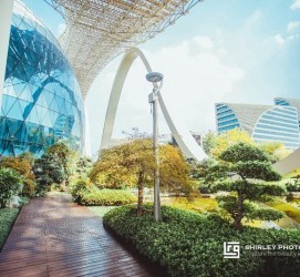 苏州杭州外围伴游雇用(杭州外围雇用经纪人)