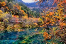 苏州四川旅游攻略(四川旅游攻略十五日游)