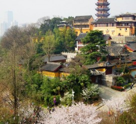 苏州南京周边游(南京周边游景点大全 自驾车旅游)