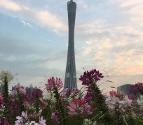 苏州广州旅游攻略(杭州到广州旅游攻略)