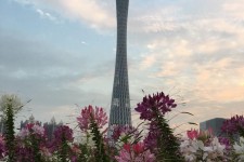 苏州广州旅游攻略(杭州到广州旅游攻略)