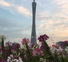 苏州广州旅游攻略(杭州到广州旅游攻略)
