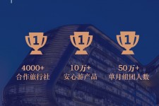 苏州上海私人伴游 ​ “小而美”的新时代：2020年国内新跟团消费报告