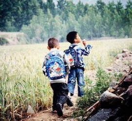 苏州河南一家四口结伴游中国2个月(河南适合一家四口旅游的地方)