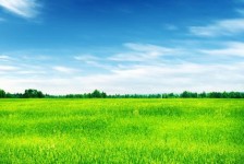 苏州上海伴游 上海模特伴游微信号的交友宣言