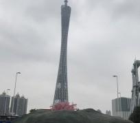 苏州广州游玩攻略(广州游玩攻略景点大全免费)