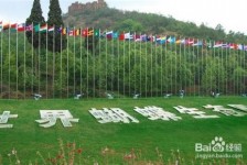 苏州昆明旅游攻略(昆明旅游攻略景点大全抚仙湖)