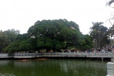苏州福州旅游攻略(福州旅游攻略二日游)