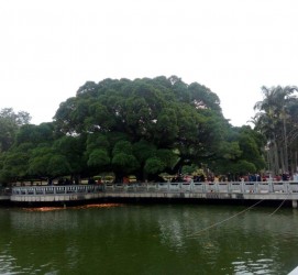 苏州福州旅游攻略(福州旅游攻略二日游)