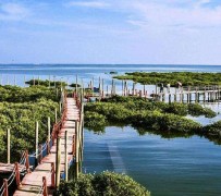 苏州旅游哪里好玩(云南旅游哪里好玩)