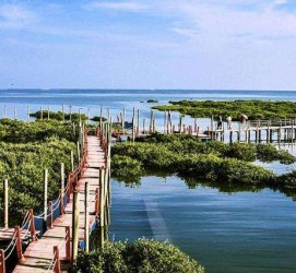 苏州旅游哪里好玩(云南旅游哪里好玩)