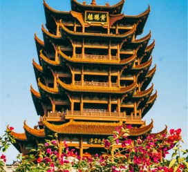 苏州武汉游玩攻略(武汉游玩攻略路线)