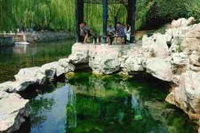 苏州济南旅游攻略(青岛威海济南旅游攻略)