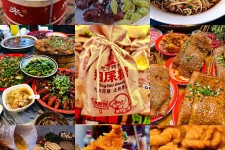 苏州重庆游玩攻略(重庆游玩攻略3天费用2人)