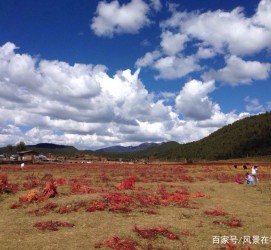 苏州旅游去处(暑期最好的旅游去处)